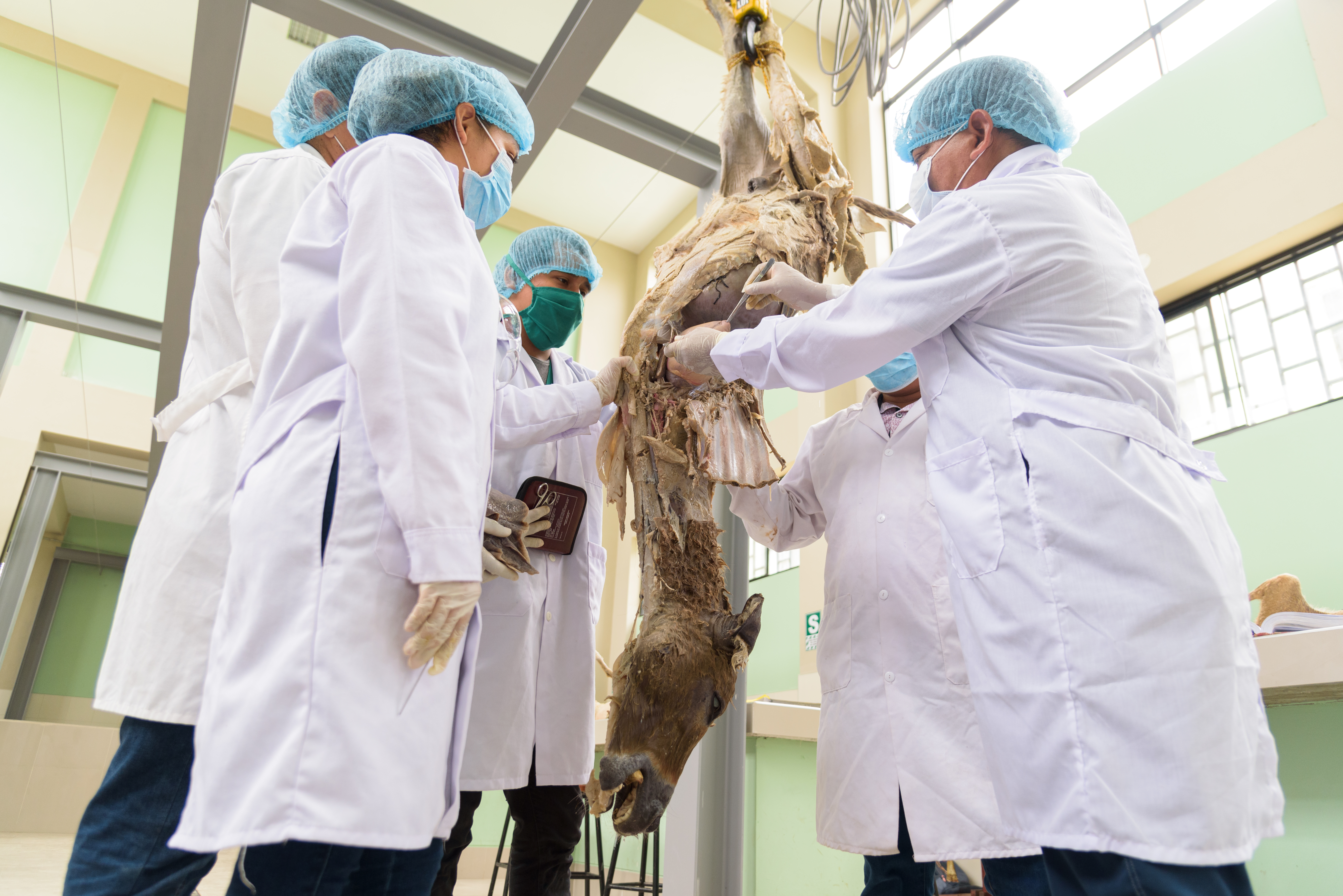 Medicina Veterinaria y Zootecnia