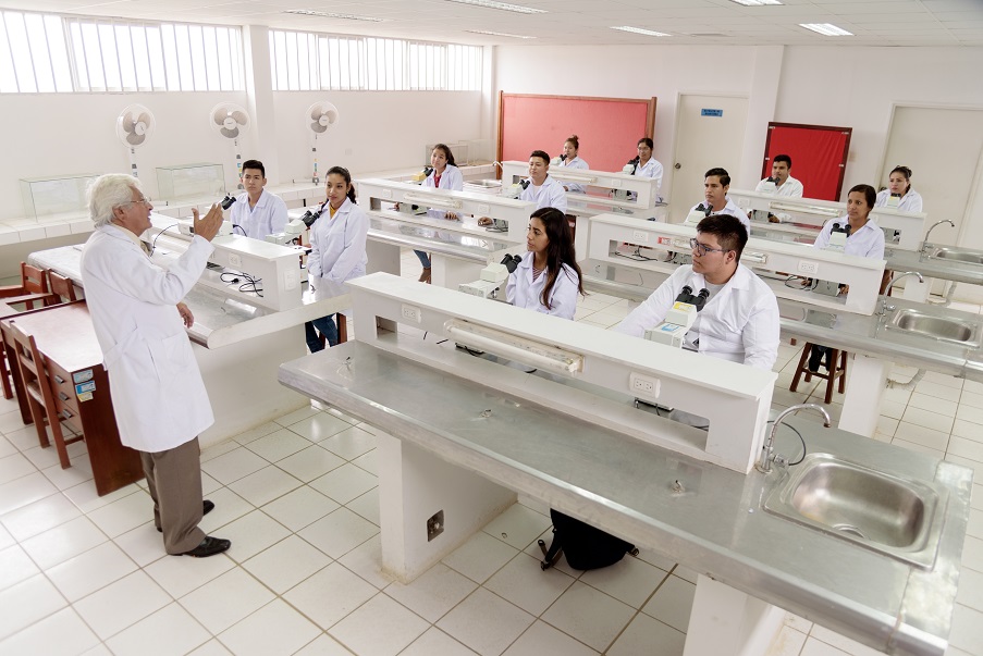 Programa Académico Especializado